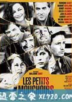 小小的白色谎言 Les petits mouchoirs (2010) 4K网盘迅雷下载