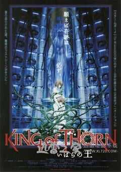 古城荆棘王 いばらの王 (2010) 4K网盘迅雷下载