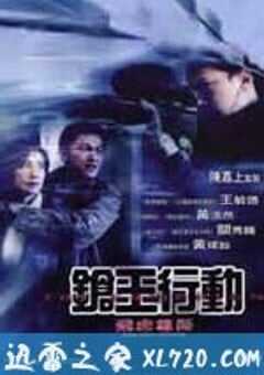 飞虎雄师之枪王行动 4K网盘迅雷下载