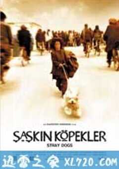 流浪狗 Sag-haye velgard (2004) 4K网盘迅雷下载