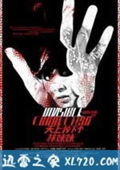 天上掉下个林妹妹 (2010) 4K网盘迅雷下载