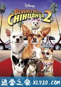 比佛利拜金狗2 Beverly Hills Chihuahua 2 (2011) 4K网盘迅雷下载