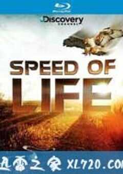 探索频道：生命的速度 Discovery Channel ：Speed of Life (2010) 4K网盘迅雷下载